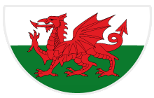 Wales flag Wales flag
